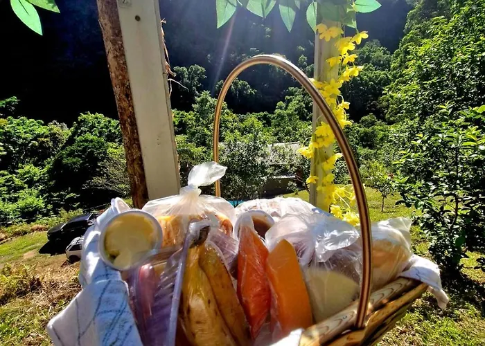 Cabana Na Montanha Com Vista Para Cascata Saojudas